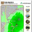 용봉초교 이미지