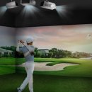 프로 스크린골프 이미지