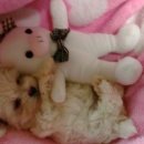 광주 용두주공 24평 리모델링...견적이요~ 이미지