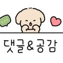 애항아리보쌈 이미지