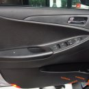 다운옵틱 이미지