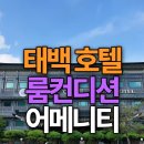 배 조형물 | 태백호텔 트윈룸 시설 리뷰, 주방·욕실·어메니티 룸컨디션 후기