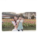 향비 | 8개월 아기랑 에버랜드 후기 | 주차, 워킹사파리 대기시간, 씨라이언빌리지, 나비정원, 튤립 축제 총정리
