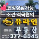 3천리공인중개사사무소 | 용인상가임대- 1층50" 저렴한임대료 주차15대 이상 즉시영업가능