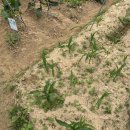 정상화농장 이미지