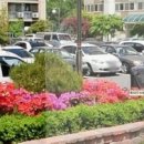 월평주공2단지 이미지