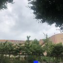 청운초교 정문 앞 이미지