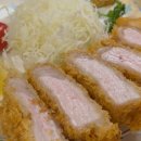 톤쇼우