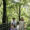 개화산 자락길 이미지