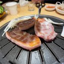 고기싸롱신