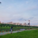 실개천 | 실개천 생태공원 안양천 산책 러닝 슬로우조깅 후기 - 친구랑 저녁 먹고 노을 감상