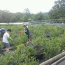 하우농장 이미지