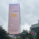 [서울 광화문] KMI 한국의학연구소 광화문점 직장인 건강검진 후기 확장 이전 개원 대장내시경 위 내시경