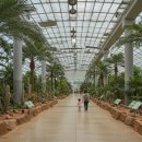 능산리 고분군 포토존 이미지