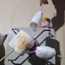 대암 팜트리 이미지