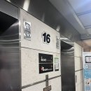 에이플치과의원 | 부산 교정치과 마지막 치료 유지장치 부착후기(서면 에이플 교정치과)