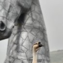 새별농장 이미지