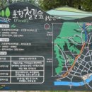 프루츠 모닝 이미지