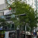 민우헤어샵 | 해운대 장산 미용실 민우헤어 수분 클리닉 받고 온 솔직후기!