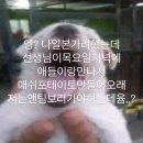 토크콘서트 공연산책 (5월) | 드디어 5월로그…인척하는 도쿄콘로그