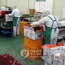 진주친환경급식센타 이미지