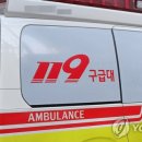 7252 이미지