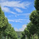 경기둘레길 양평27코스 이미지