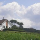 하얀마음 이미지