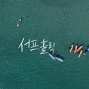 (주)서프홀릭