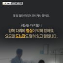 나! 박이야 이미지