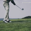 청호스크린골프 이미지