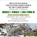 금경약국 네이버블로그