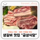 금성숯불갈비 | [청주맛집] 금성식당 가경동맛집 아이랑 가기 좋은 청주 생갈비 가족 외식 후기