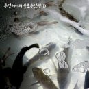 아싸실내낚시터 | [인천실내바다낚시터] 랍스터낚시터로 유명한 간석동 실내낚시!! 후기 실내데이트 추천 :)