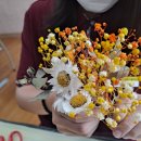 삼천포제일중학교 이미지