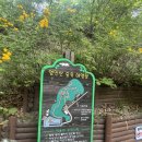 영인산자연휴양림 숲속야영장 | 아산 영인산 자연휴양림 야영장 캠핑 + 영인산 수목원