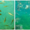 (주)테러스 이미지