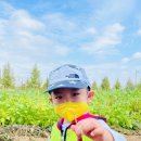 별하농장 이미지