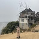개미카 | 2일, 겨울 부안 여행 / 변산바람꽃, 롯데렌터카, 슬지제빵소, 곰소염전, 개미궁, 무녀2구마을버스, 쥐똥섬