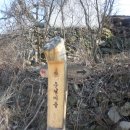 산지골민박 이미지