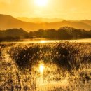 반곡저수지 이미지