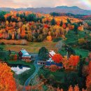 단풍세탁소 이미지