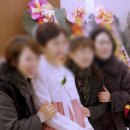 가성비 본식DVD 스냅 Studio_0633 규수당 문래점 본식 촬영 후기