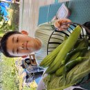 윤우농장 이미지