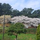 수운근린공원 이미지