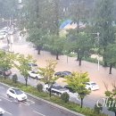 창원남고삼거리 오마이뉴스