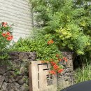 판포2060 이미지