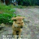 안녕하세요