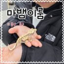 마뱀이룸