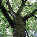 상수리공원 이미지